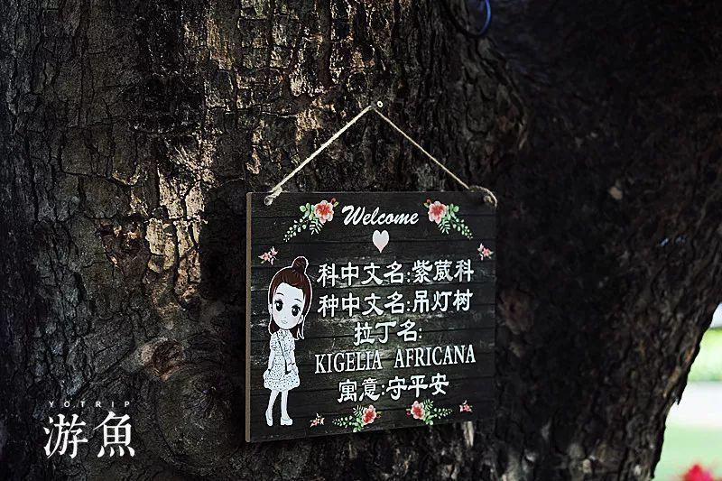 机智问答网页-解答问题的电脑开机资源管理器已停止工作首选平台